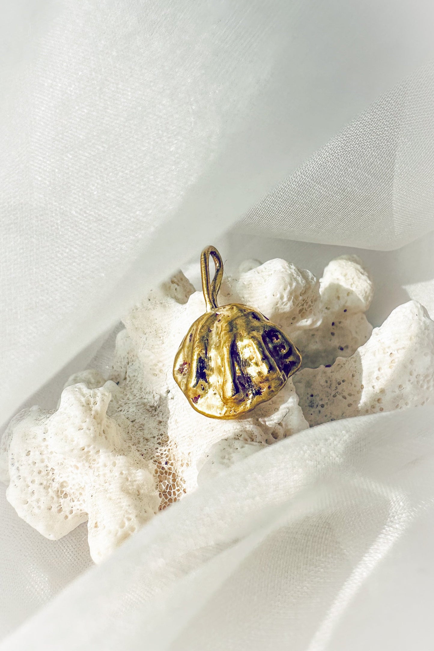 Shell Charm
