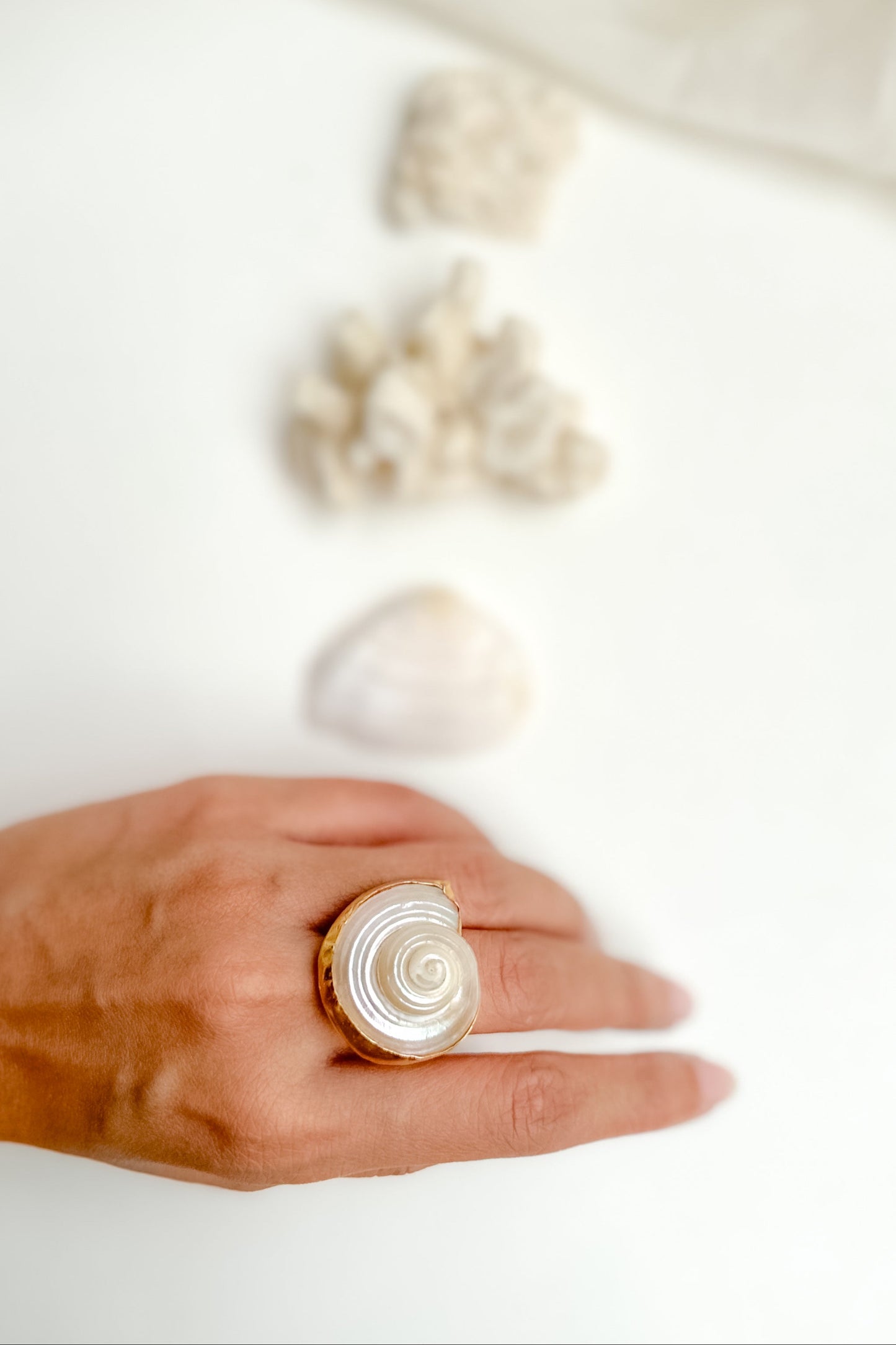 Hand wearing a shell-shaped ring with seashells in the background