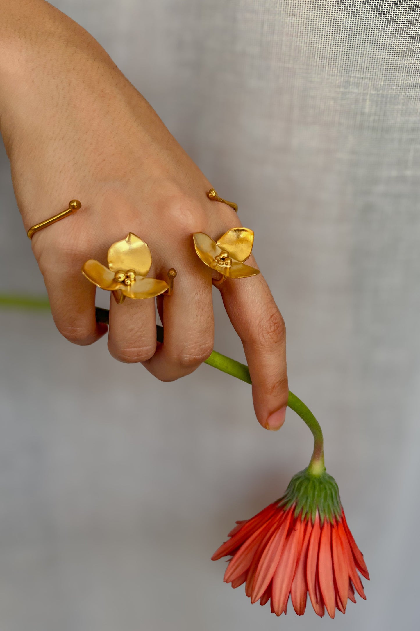 Ayaana Palm Band