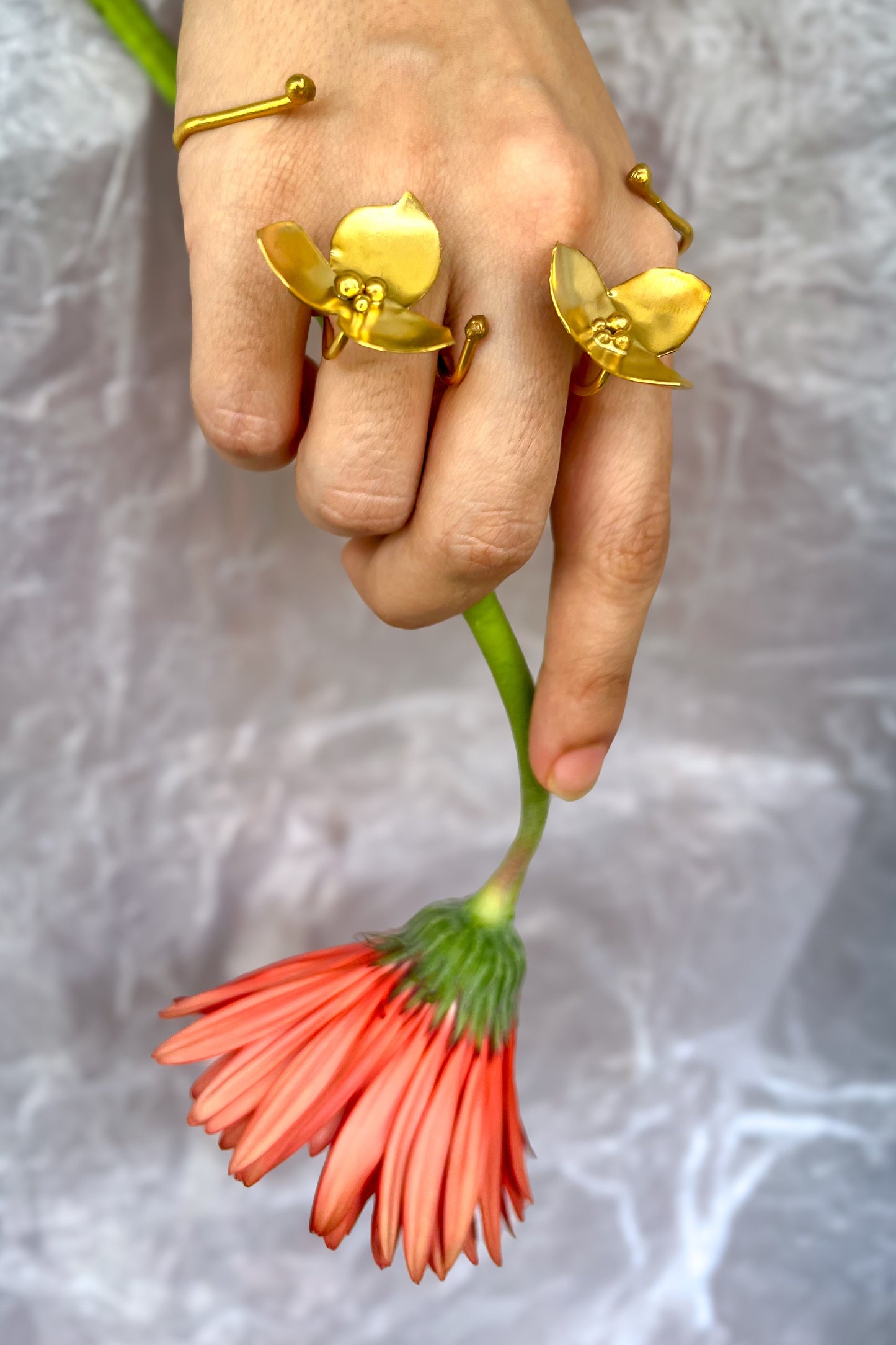 Ayaana Palm Band