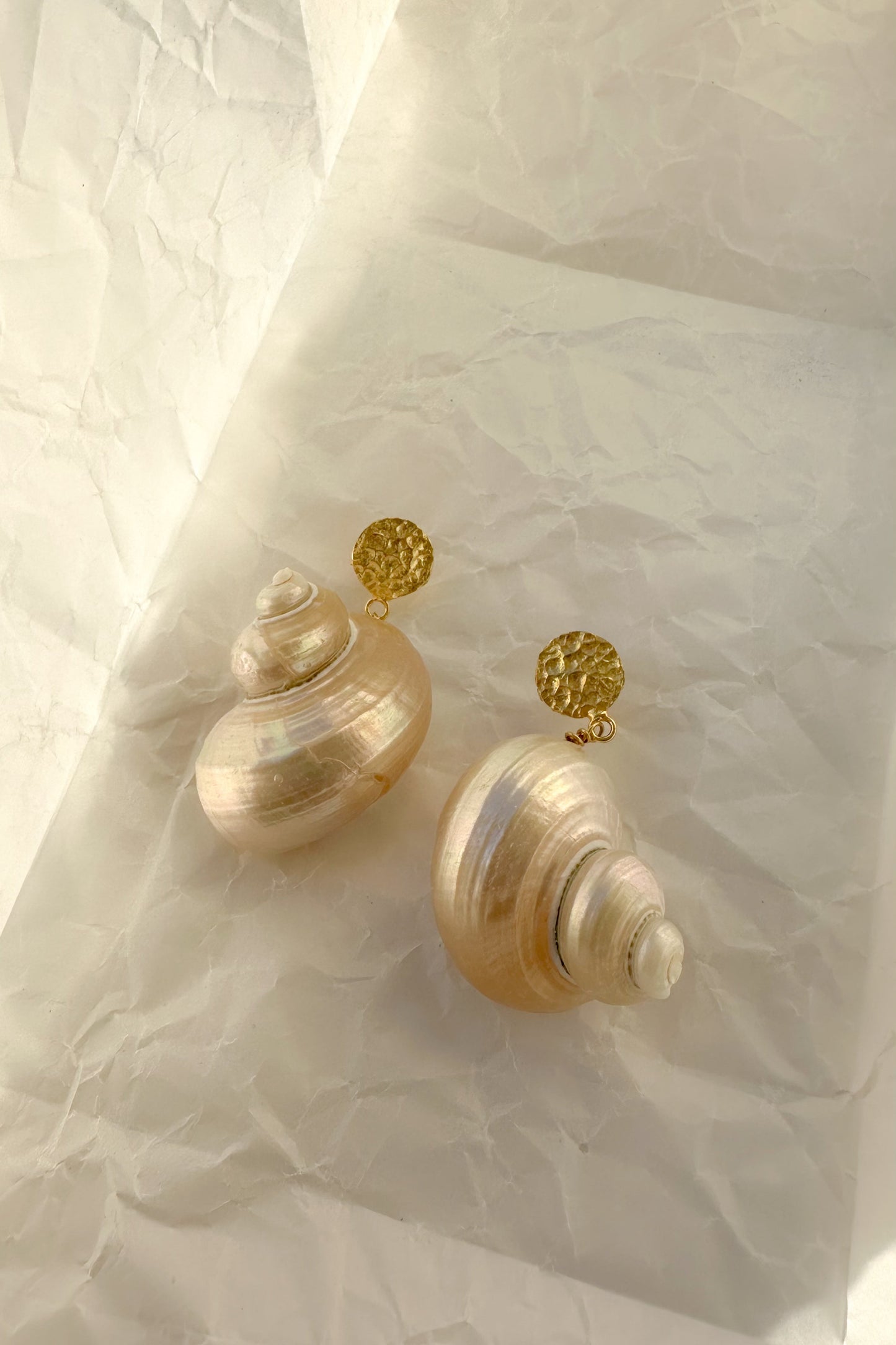 A pair of shell-shaped earrings with gold circular studs, resting on crumpled white paper.