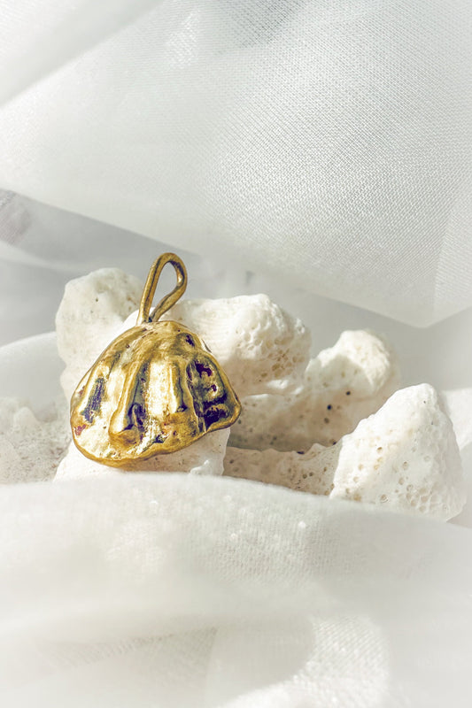 Shell Charm