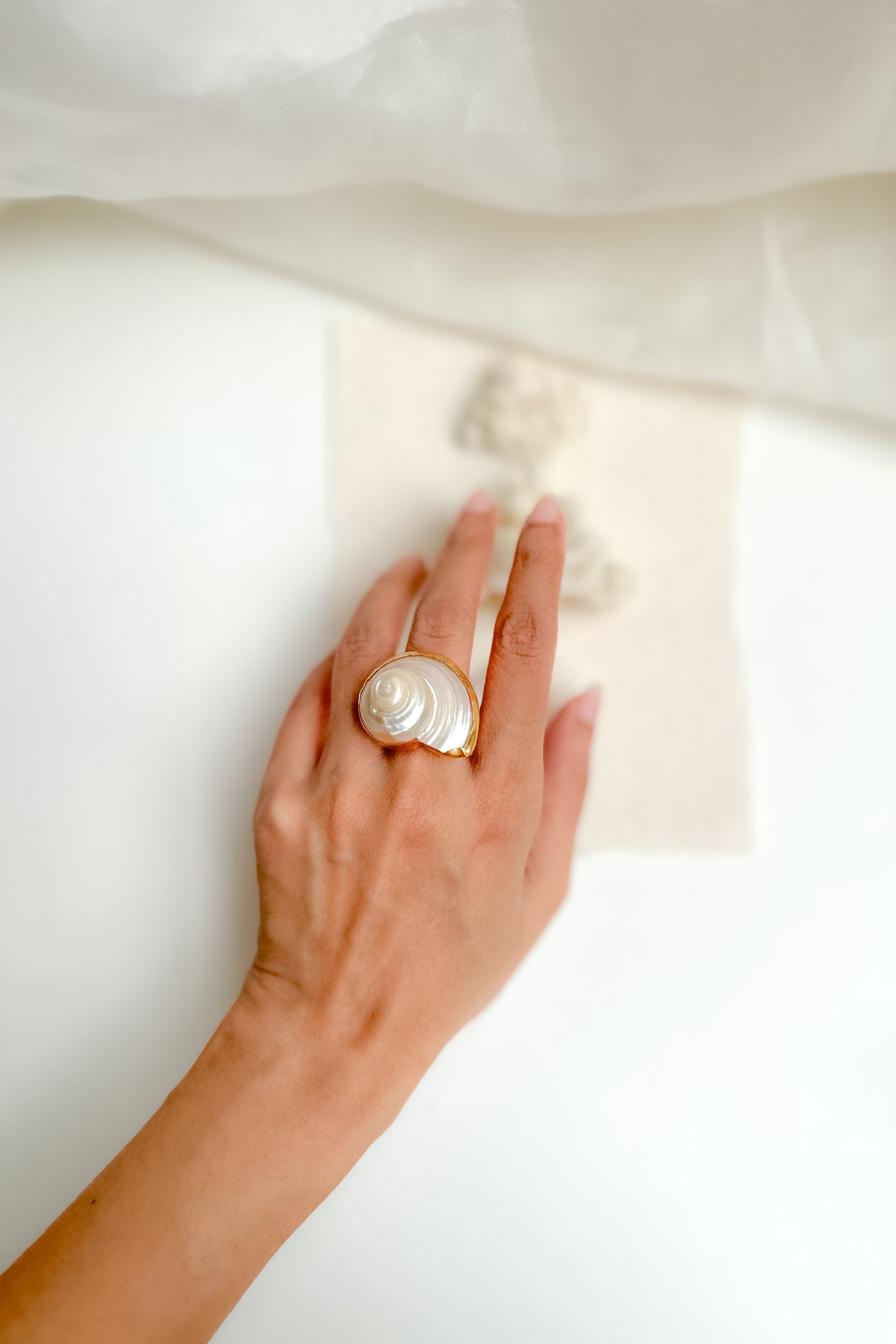 Hand wearing a gold ring with a shell design on a white background